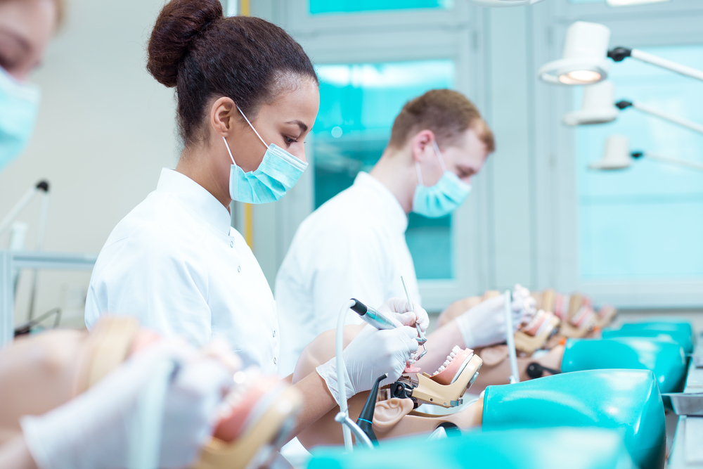 Dental trade school students work on dental dummies 