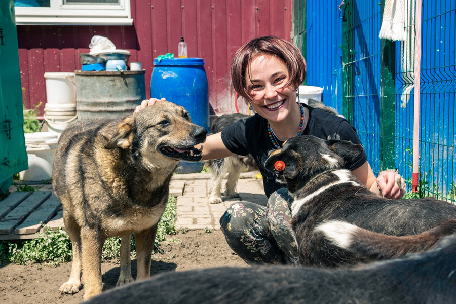 Female volunteer pets two dogs at an animal shelter