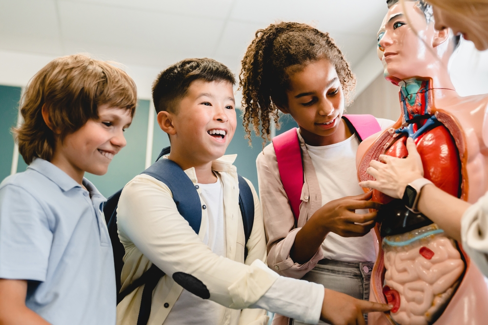 Young students examine a model of a human to learn about internal organs 