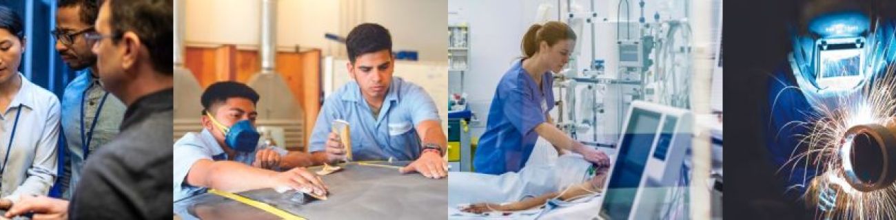 Scenes of students preparing for different professions 