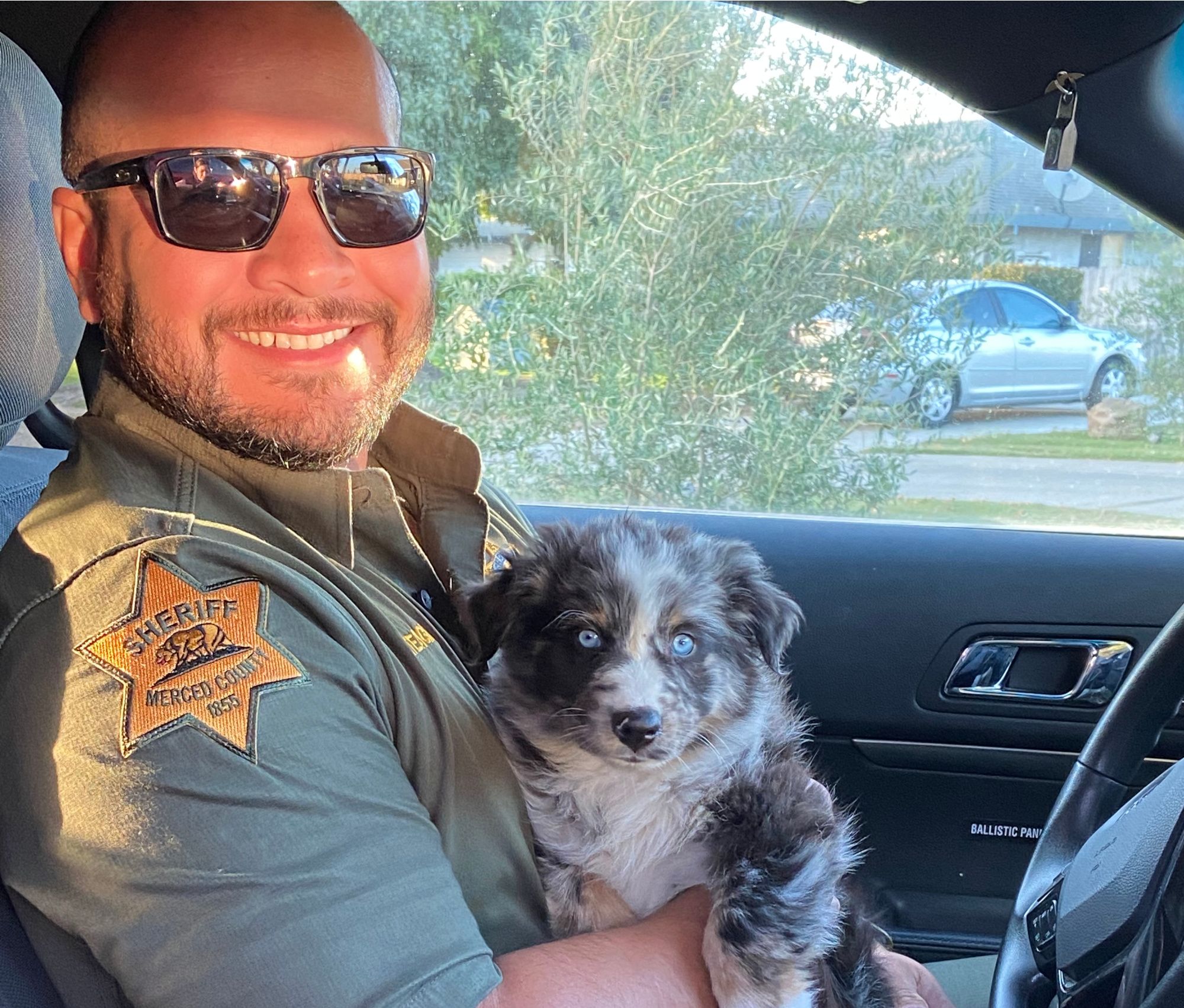 Officer Javier Arteaga with a puppy in his squad car