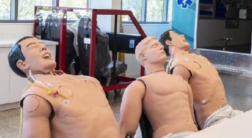 Three CPR mannequins sitting on chairs in a classroom. 