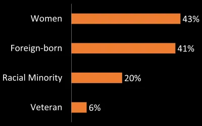 Graph representation of owner demographic